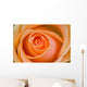 Orange Rose Wall Mural
