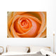 Orange Rose Wall Mural