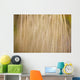 Reflection In Pond Wall Mural