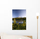 Lake And Mount Rainier Wall Mural