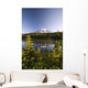 Lake And Mount Rainier Wall Mural