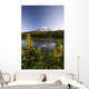 Lake And Mount Rainier Wall Mural