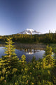 Lake And Mount Rainier Wall Mural