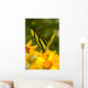 Malachite Butterfly On Flower Wall Mural