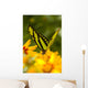 Malachite Butterfly On Flower Wall Mural