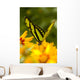Malachite Butterfly On Flower Wall Mural