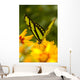 Malachite Butterfly On Flower Wall Mural