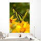 Malachite Butterfly On Flower Wall Mural