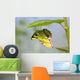 Malachite Butterfly On Leaf Wall Mural