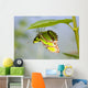 Malachite Butterfly On Leaf Wall Mural