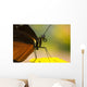 Golden Helicon On Flower Wall Mural