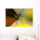 Golden Helicon On Flower Wall Mural