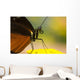 Golden Helicon On Flower Wall Mural