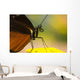 Golden Helicon On Flower Wall Mural