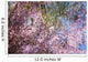 Spring Blossoms Reflecting In Lake Wall Mural