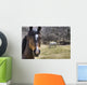 Portrait Of A Horse Wall Mural