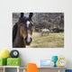 Portrait Of A Horse Wall Mural