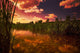 Sunset Over A Lake Wall Mural
