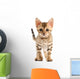 Bengal Kitten Wall Decal