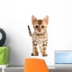 Bengal Kitten Wall Decal