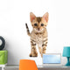 Bengal Kitten Wall Decal