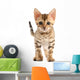 Bengal Kitten Wall Decal