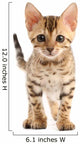 Bengal Kitten Wall Decal