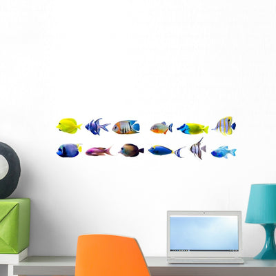 Various Tropical Fish Wall Decal Sticker Set shown on a wall
