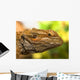 Portrait Of A Bearded Dragon Wall Mural