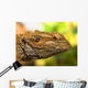 Portrait Of A Bearded Dragon Wall Mural
