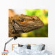 Portrait Of A Bearded Dragon Wall Mural