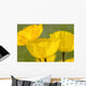 Yellow Poppies Wall Mural
