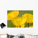Yellow Poppies Wall Mural