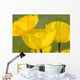 Yellow Poppies Wall Mural