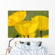 Yellow Poppies Wall Mural