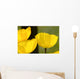 Welsh Poppy Wall Mural