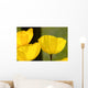 Welsh Poppy Wall Mural