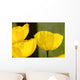 Welsh Poppy Wall Mural