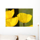 Welsh Poppy Wall Mural