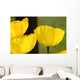 Welsh Poppy Wall Mural
