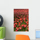Tulips Wall Mural