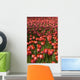 Tulips Wall Mural