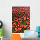 Tulips Wall Mural