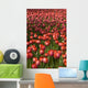 Tulips Wall Mural