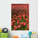Tulips Wall Mural