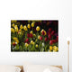 Tulips Wall Mural