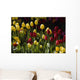 Tulips Wall Mural