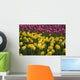 Tulips Wall Mural