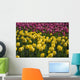 Tulips Wall Mural