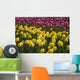 Tulips Wall Mural